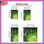 Rideaux de fenêtre Green Sea Turtles-2042499952-2042499958