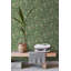 Rouleau de papier peint feuilles tropicales L 33 pi x l 20,5 po Phyllis-1028526746