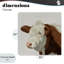 «Farm Friend», toile par Marcus Prime-1063683975