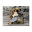 «Going My Way» par Vilho, reproduction de photo sur toile tendue-27652551