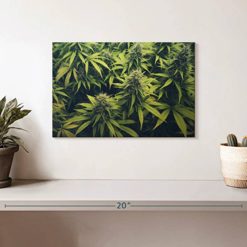 Jardin de bourgeons de marijuana, H 8 po x l 12 po