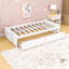 Lit de jour simple avec deux tiroirs Casstown-1294573897
