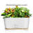 LINKSTYLE CHLORA Smart Herb Garden Planter