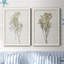 Farmhouse Pressed Flower I - Ensemble de 2 peintures sur toile encadrées-1589339746-1589339756