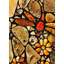 Agata Dragonfly Window