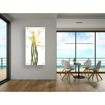 Epic Art 'Callas On Silver II' By Tim O'Toole, Acr " Callas On Silver II " by Tim O'Toole