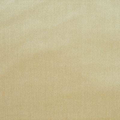 Venetian Silk Velvet Fabric