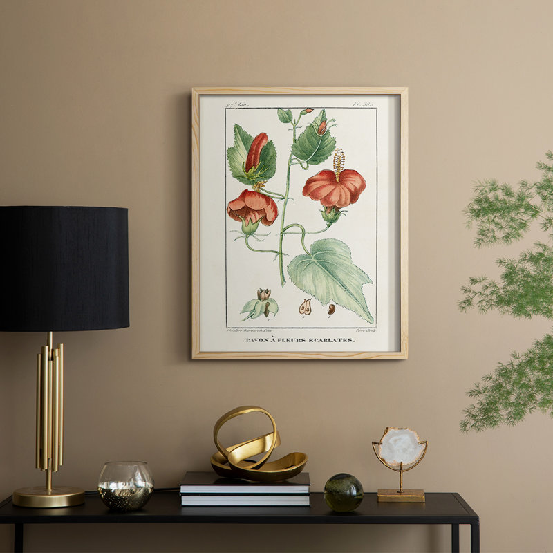 Reproduction encadrée Turpin Tropical Botanicals IV - bois massif