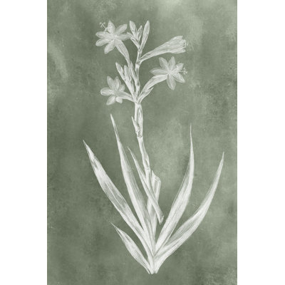 " Sage Impressions V "