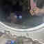 Customer photo 3 of 3