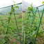 Filet de jardin vert en treillis en nylon
