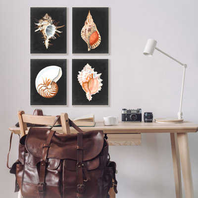 " Sea Shell Clam Conch Collection Realistic Illustration " by Michael Willett 4 - Pieces