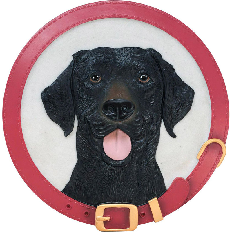 Labrador noir
