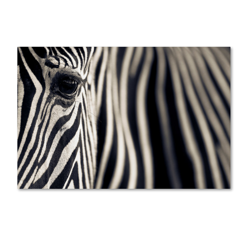 « eye & rayures », reproduction de photo sur toile tendue, H 12 po x l 19 po