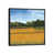 Black Framed selected