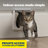 PetSafe 4-Way Locking Interior Cat Door
