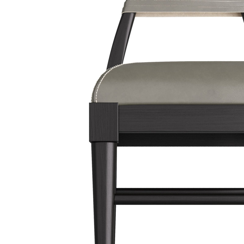 Biziki Dining Chair, Dim Gray, Ebony