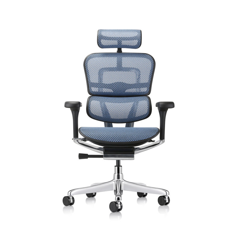 Chaise de travail ergonomique en filet Ergohuman, Bleu ‑ génération 2