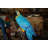 Single Parrot on a tree - Bronze Statue -  Size: 30"L x 24"W x 66"H. 