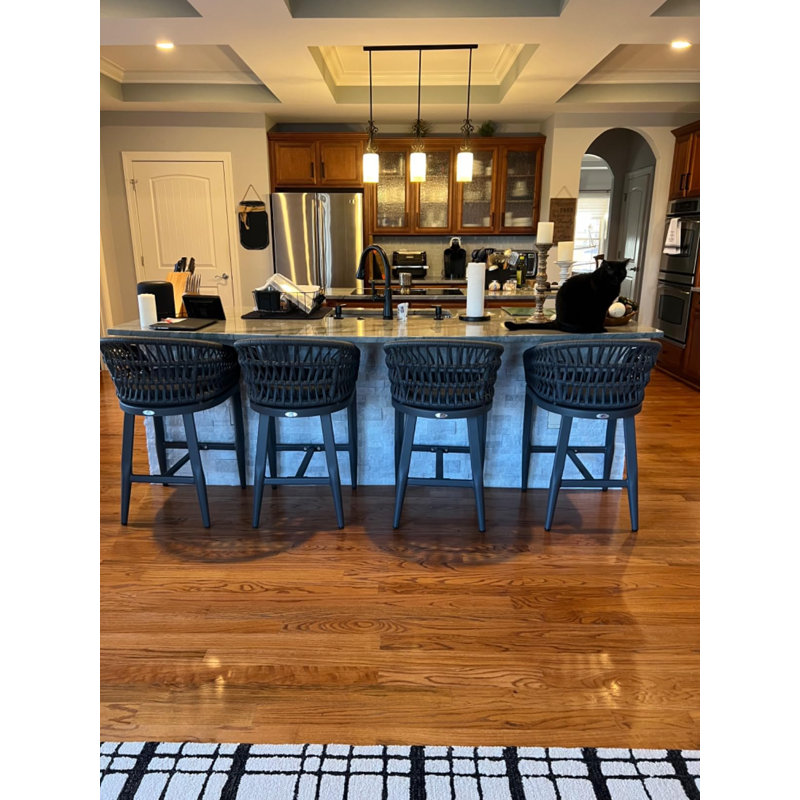 Alexamarie 24" Patio Bar Stool with Cushion, Gray