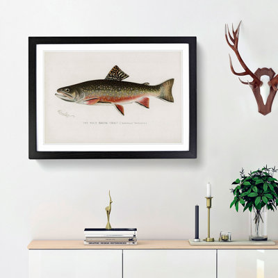 Male Brook Trout by Sherman F. Denton - Framed Print
