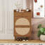 Armoire 2 portes, 1 tiroir, étagère à chaussures, double couche, convient à l'entrée-114624606