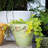 Rustic Garden Handmade Cachepot-69215734