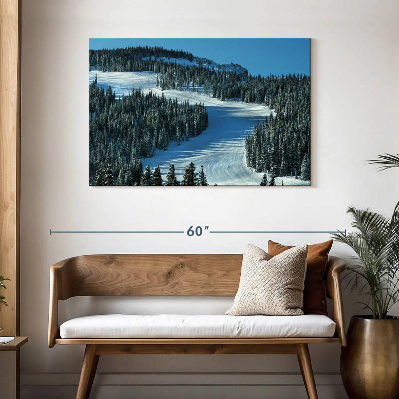 Piste de ski Alvord, H 30 po x l 45 po