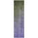 Ombre Rug