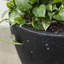 Pot à fleurs en plastique Fernway-83462857-96916944