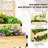 2 Tier Wooden Elevated Planter Box, Raised Garden Bed With Trellis For Veggies, 55" H X 25.5" W, Natural Trellis, D 42.5" Wood