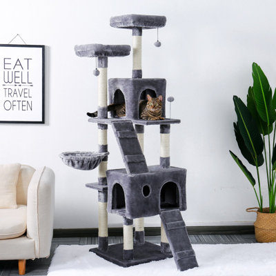 Dog House