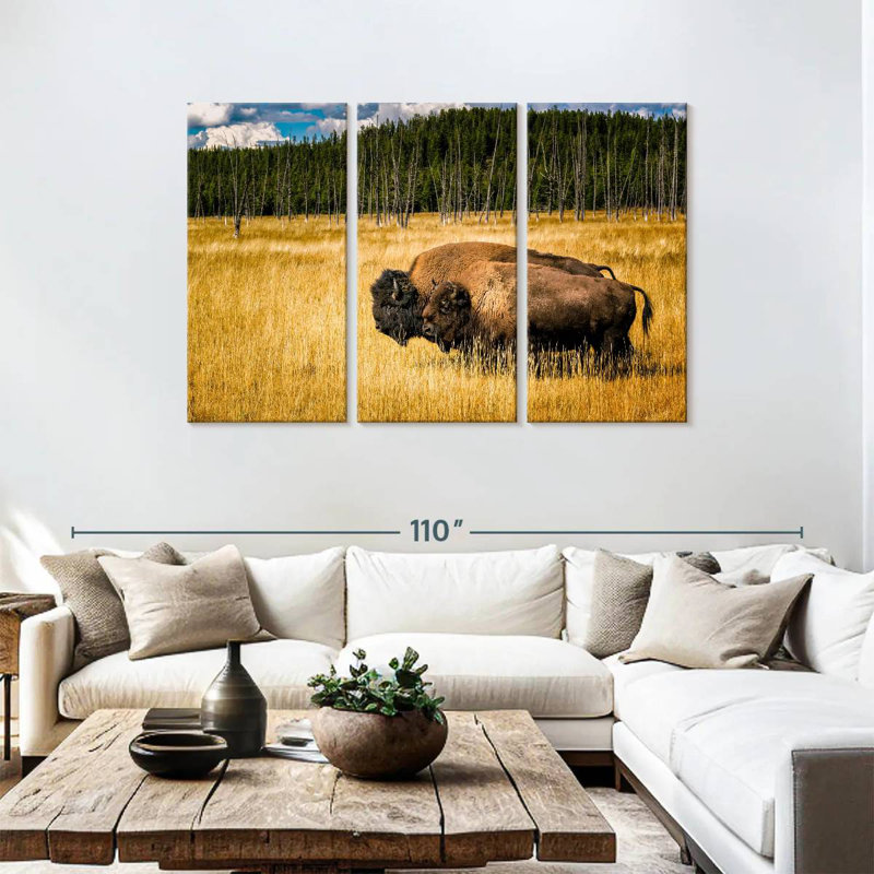 Brampt Bison In Summer, 48" H x 74" W