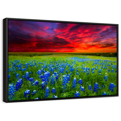 Bluebonnets At Sunset I Canvas Print
