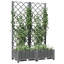 Aunah Raised Garden Bed with Trellis