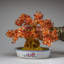 Genuine Carnelian Gemstone Bonsai Tree in Oval Ceramic Pot (11")