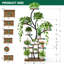 Plant Stand - Set of 6