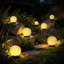 Natural Solar Powered Glass Flood Light Pack-133619727