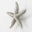 2" Starfish Small Knob-104674675-39948825