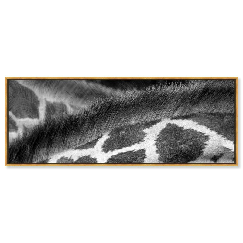 Girafe sur toile, Cadre flottant doré, H 21 po x l 55 po