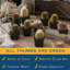9 Live Cactus Plant in Pot Set