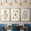Knorr Shells & Coral IV - Impression encadrée sur mesure de qualité supérieure - 3 pièces-513750529-513750542
