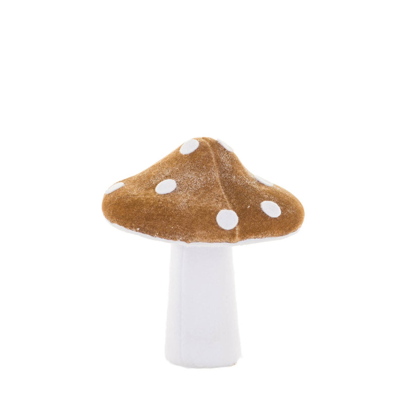 Blanc champignon velouté, Brun / blanc