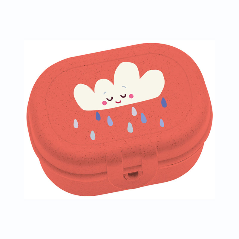 Koziol Box