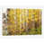 Toile tendue