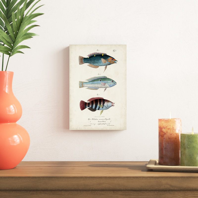 " Antique Fish Trio III ", 12" H x 8" W x 1.25" D