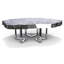 Satyria Coffee Table