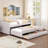 Timeless Twin Upholstered Daybed with Trundle & 3 Drawers-64578326