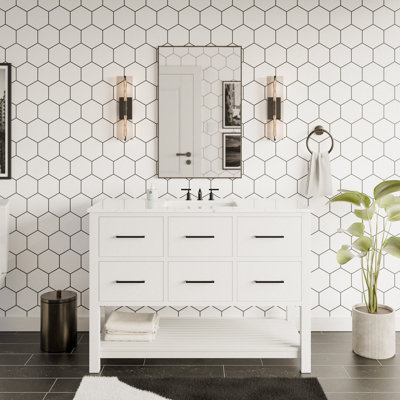 Frey 48" Bathroom Vanity