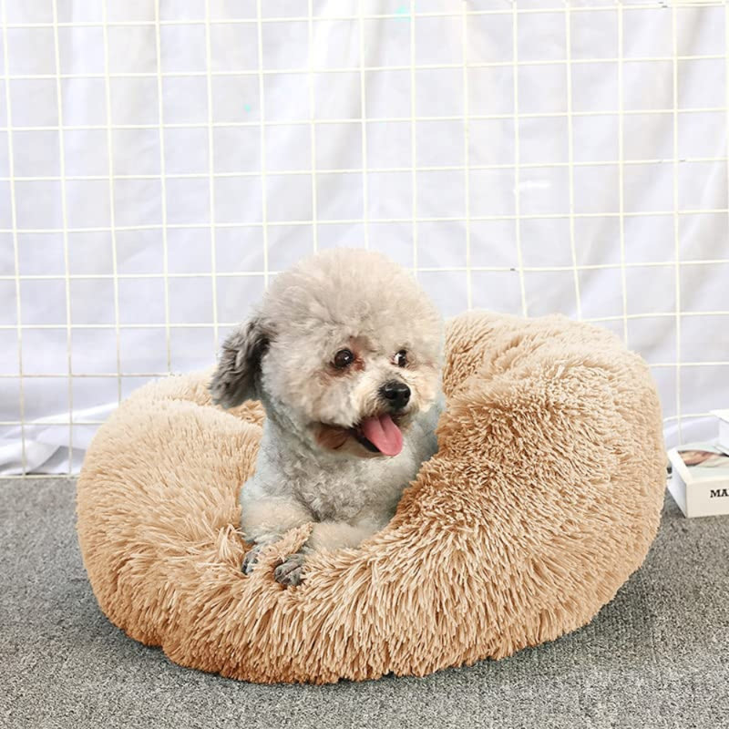 Jaiden Orthopedic Fleece Pet Bed, 50cm W x 50cm D, Tan